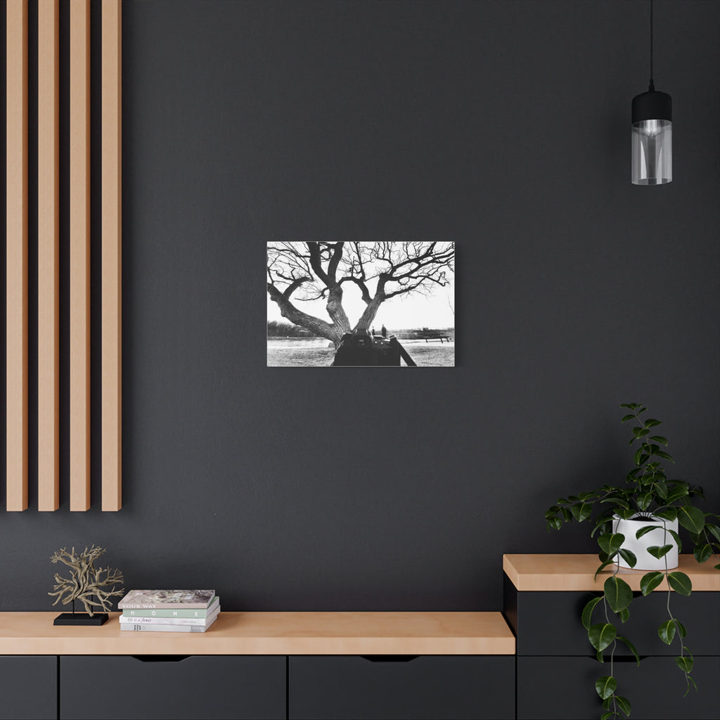 Canvas Print, Monochrome Tree and Camera Scene