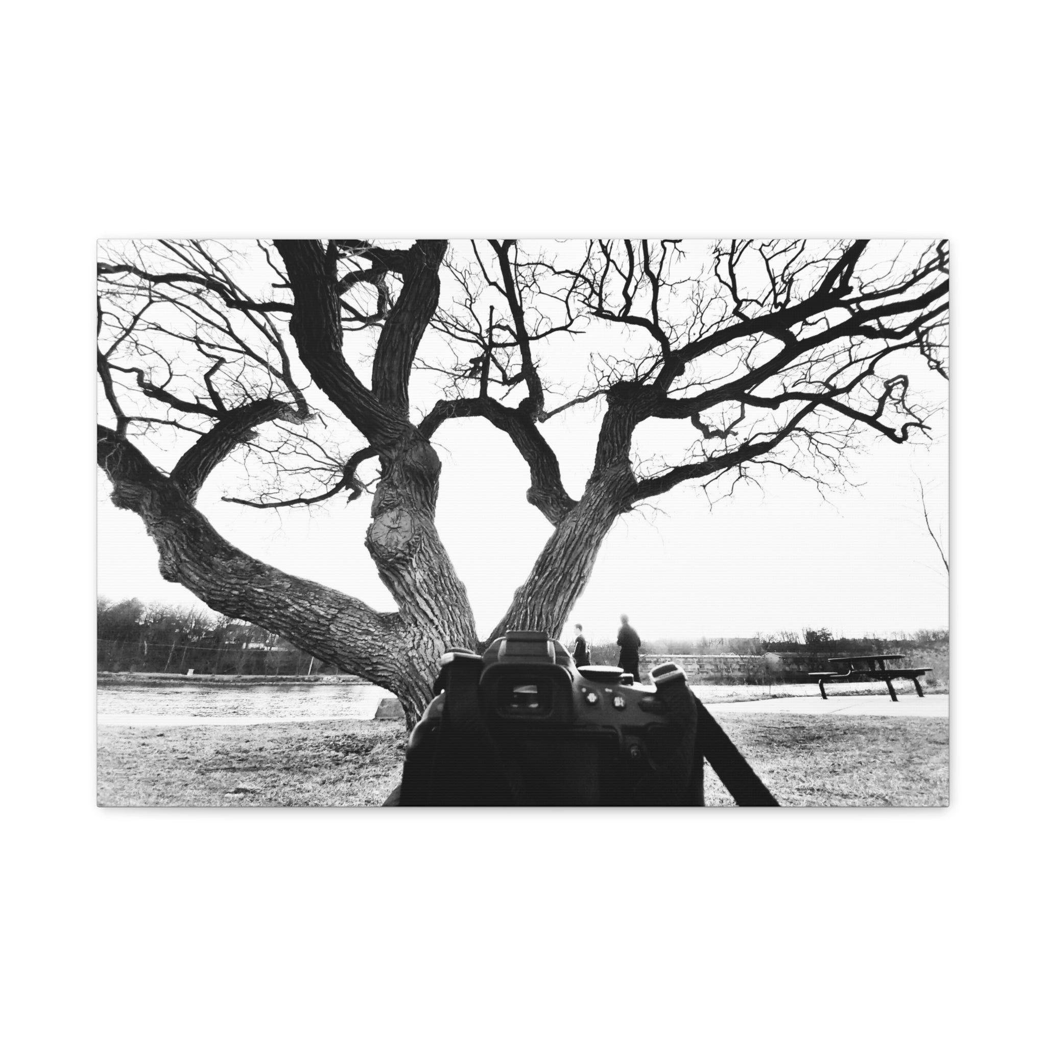 Canvas Print, Monochrome Tree and Camera Scene
