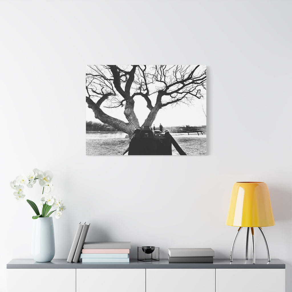 Canvas Print, Monochrome Tree and Camera Scene
