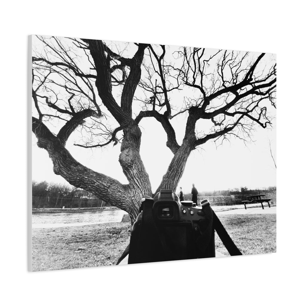 Canvas Print, Monochrome Tree and Camera Scene