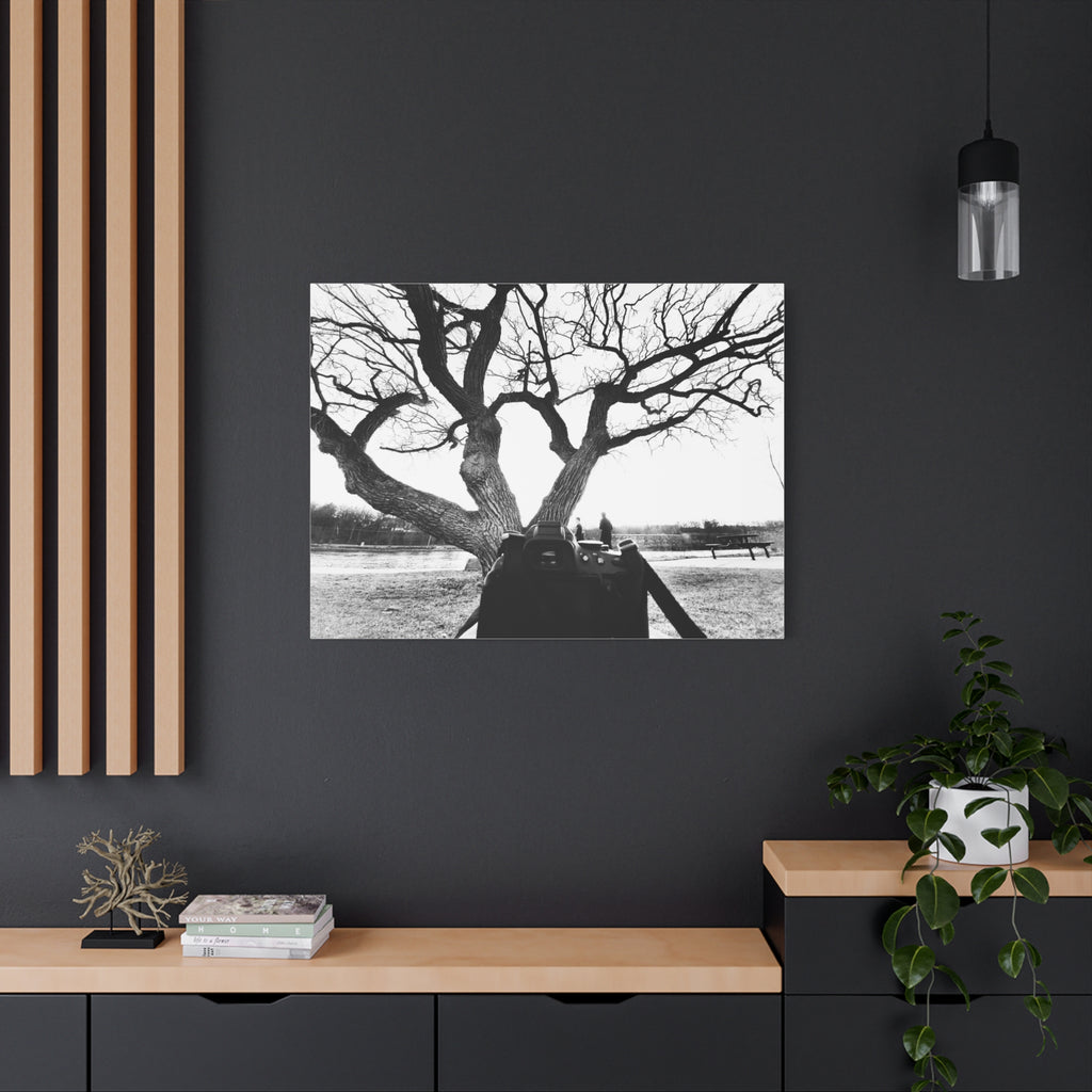 Canvas Print, Monochrome Tree and Camera Scene