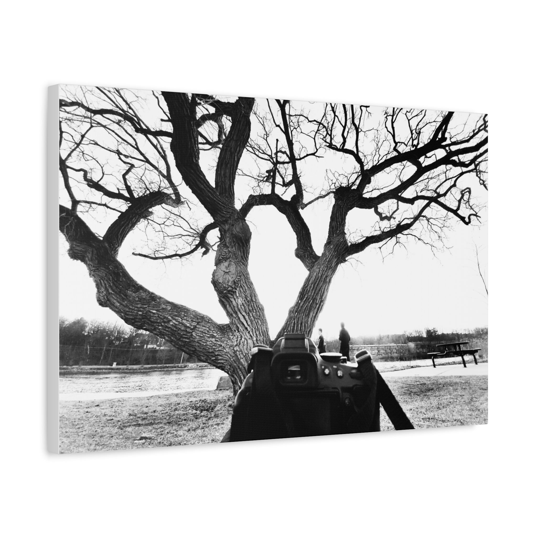 Canvas Print, Monochrome Tree and Camera Scene