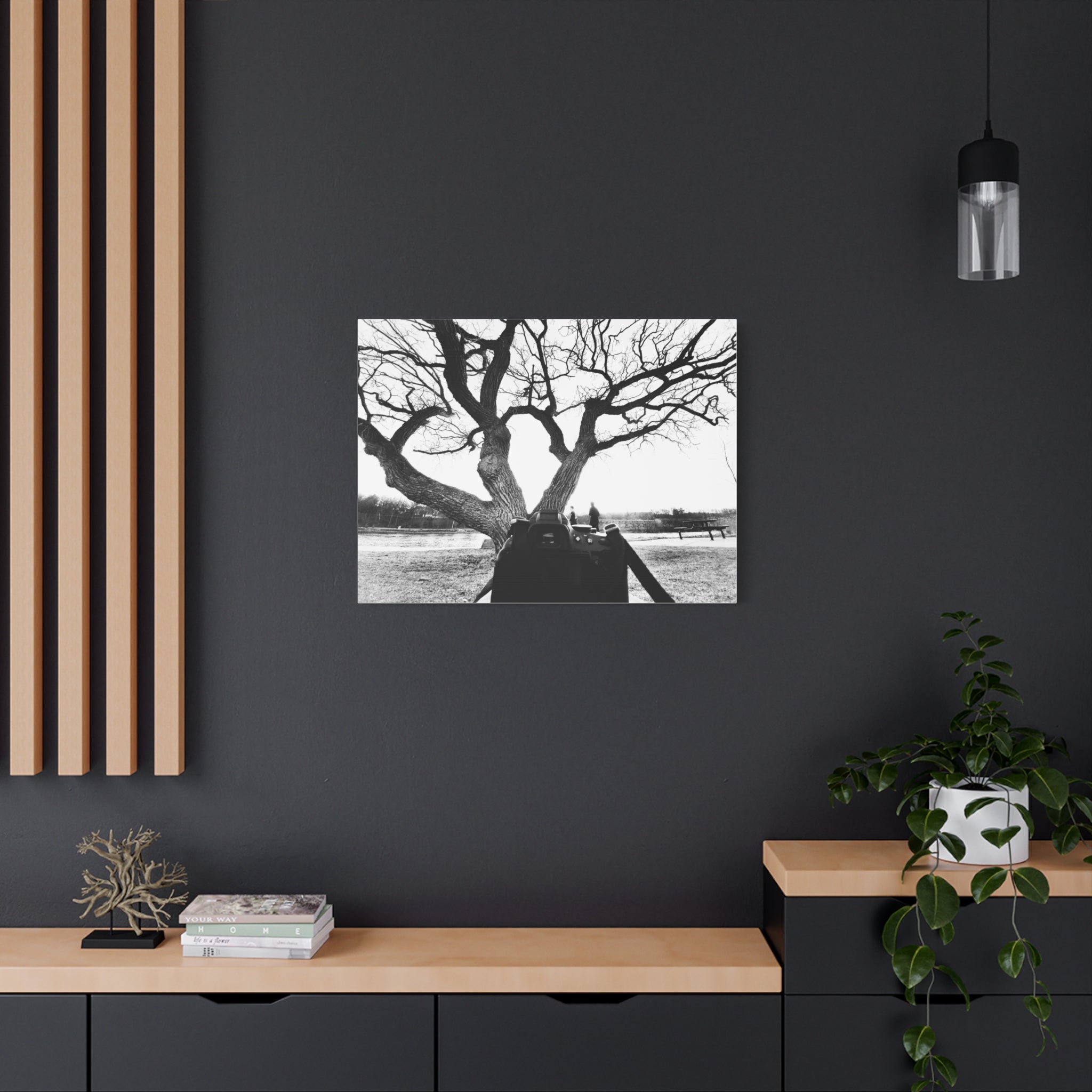 Canvas Print, Monochrome Tree and Camera Scene