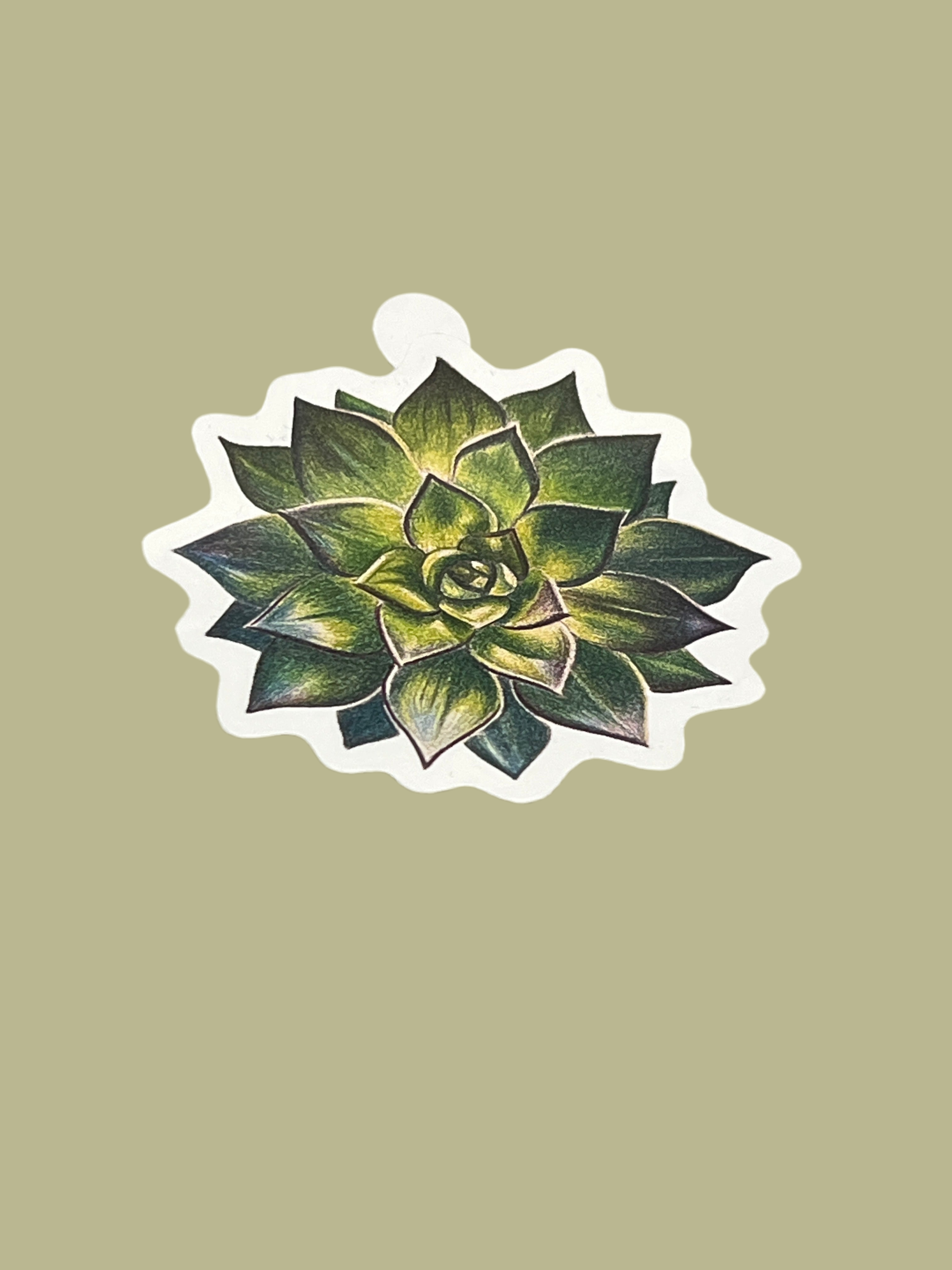 Sticker - Succulent