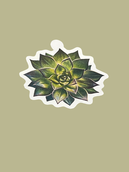 Sticker - Succulent