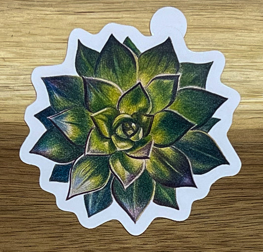 Sticker - Succulent